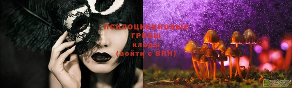 хмурый Сясьстрой