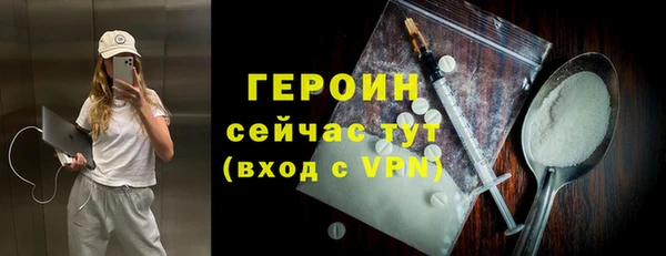 дживик Тайга