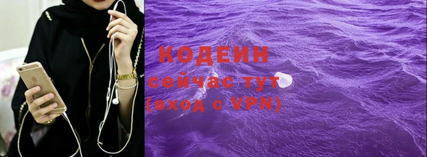 дживик Тайга