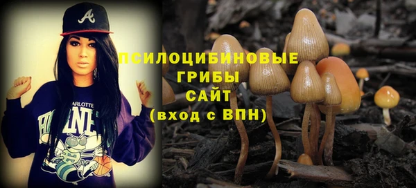 дживик Тайга