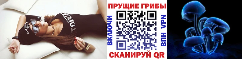 Галлюциногенные грибы ЛСД  Купить закладки  Усть-Лабинск 
